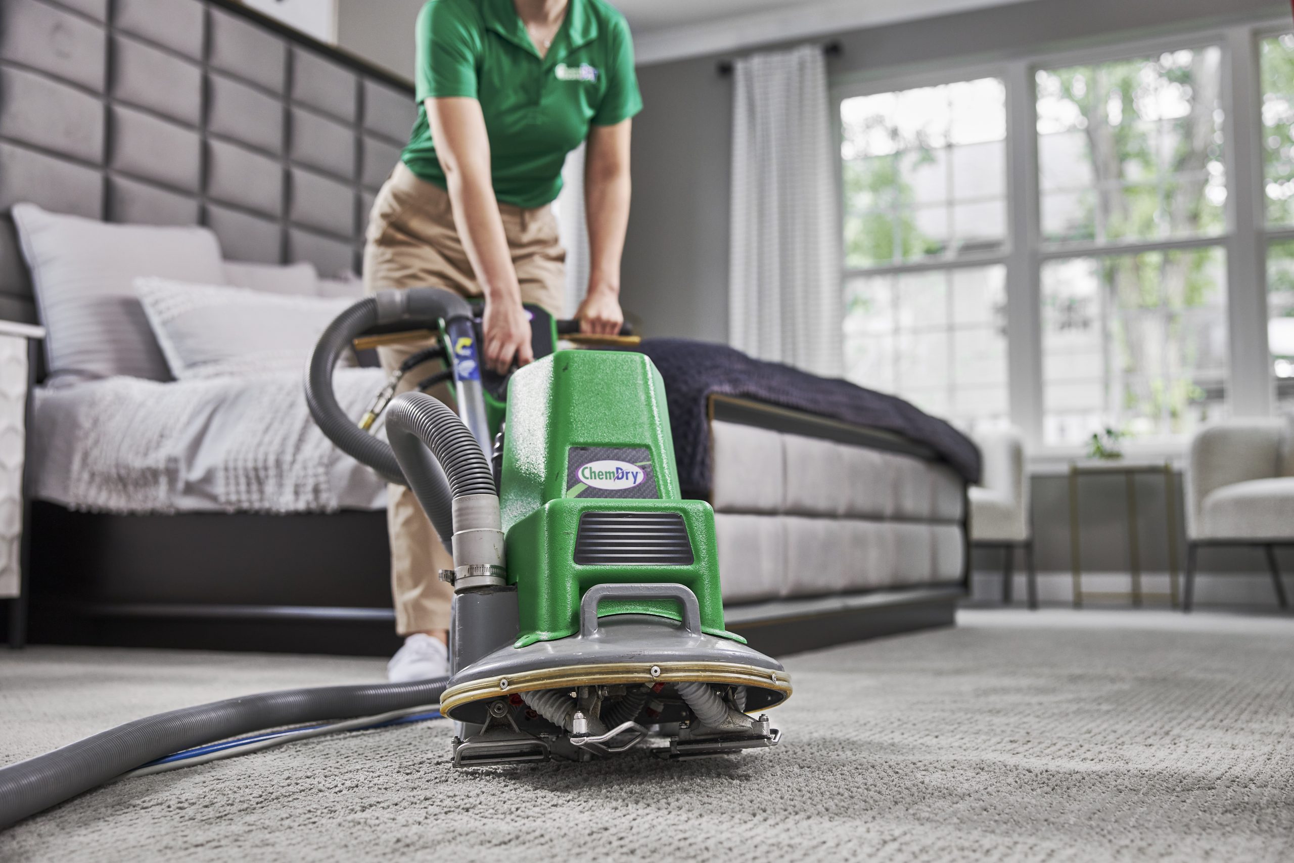 carpet cleaner hereford az
